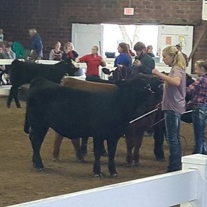 Meet your Posher, Sydney